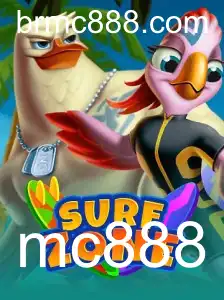 Conhecendo SurfZone: A Nova Experiência Aquática no Mundo dos Jogos